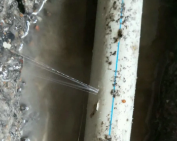 龙子湖卫生间测漏水多少钱