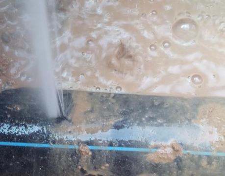 龙子湖卫生间防水哪家好