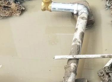 龙子湖测漏水公司电话